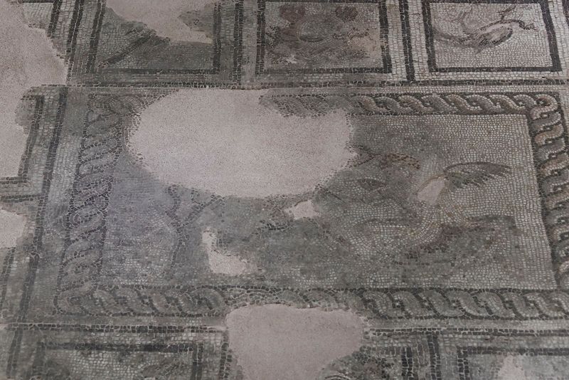 Gaziantep Zeugma Museum Eros mosaic in 2024 7879.jpg