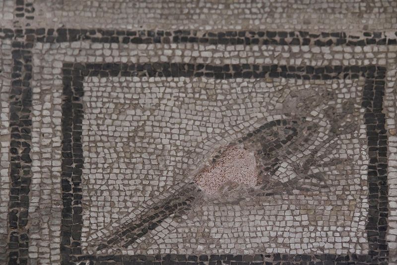 Gaziantep Zeugma Museum Eros mosaic in 2024 7881.jpg