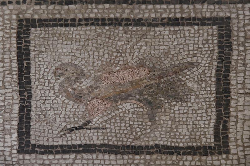 Gaziantep Zeugma Museum Eros mosaic in 2024 7882.jpg