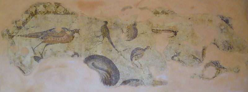 Antakya Archaeological Museum Birds on damaged mosaic in 2019 01.jpg