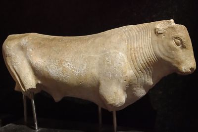 Istanbul Archaeology Museum Statue of a bull, Marble, Mid 6th C BCE Miletus 3547.jpg