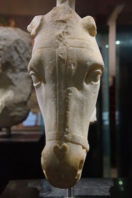 Istanbul Archaeology Museum Horse's head 2nd half  5th C BCE 3606.jpg