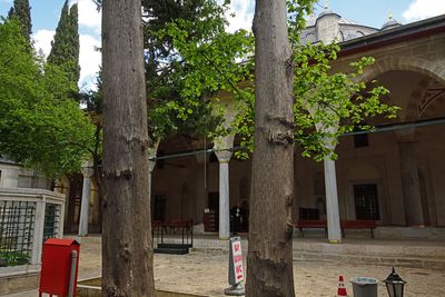 Istanbul Mesih Mehmed Paşa Cami courtyard 4566.jpg