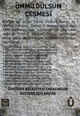 Istanbul mm Glsm esmesi 3331.jpg