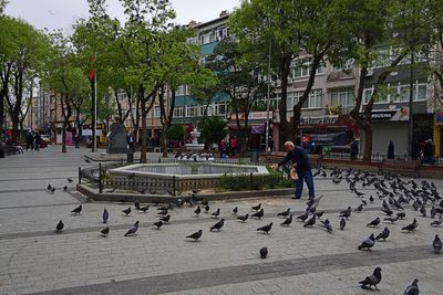 Near Büyük Saray square