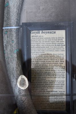 Hasan Sezai Hazretleri lodge Mausolea Deer antler in 2024 5842.jpg