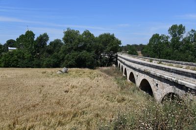 Gazi Mihal Bridge in 2024 5647.jpg