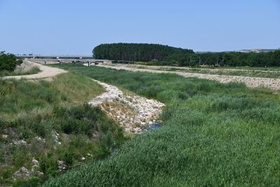 Tunca river tributary in 2024 5785.jpg