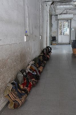 Hamallar in 2024 6513.jpg