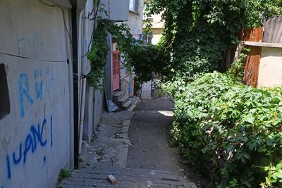 Street in Ayvansaray in 2024 6464.jpg