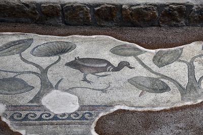 Urfa Haleplibahçe Mosaic Museum Achiilles' mosaic border 2024 7424.jpg