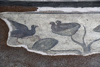 Urfa Haleplibahçe Mosaic Museum Achiilles' mosaic border 2024 7425.jpg