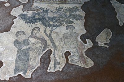 Urfa Haleplibahçe Mosaic Museum Achilles' mosaic Achilles farewell from Thetis 2024 7413.jpg