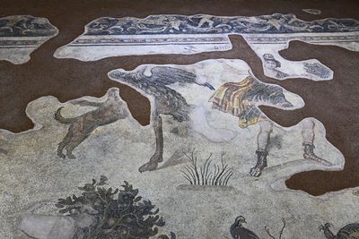 Urfa Haleplibahe Mosaic Museum Hunting Amazons mosaic 2024 7430.jpg