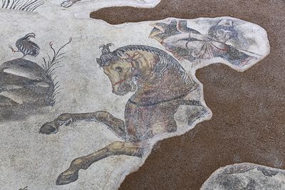 Urfa Haleplibahe Mosaic Museum Hunting Amazons mosaic 2024 7429.jpg