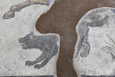 Hunting Amazons mosaic