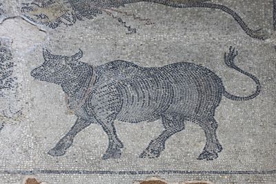 Urfa Haleplibahe Mosaic Museum Harran Gate mosaic 2024 7433.jpg