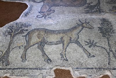 Urfa Haleplibahe Mosaic Museum Harran Gate mosaic 2024 7434.jpg