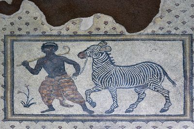 Urfa Haleplibahe Mosaic Museum Servant and zebra mosaic 20247418.jpg