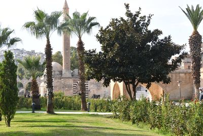 Şanlıurfa Rızvaniye Camii from east 2024 7623.jpg