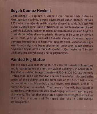 Urfa museum Göbeklitepe Painted boar statue Neolithic Age from Building D text in 2024 7332.jpg