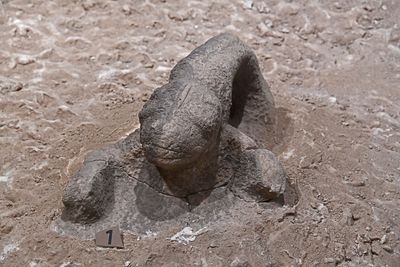 Urfa museum Roaming group Animal statue Göbekli Tepe in 2024 7324.jpg