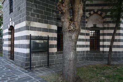 Diyarbakır Fatih Pasha Mosque Trbe of Osman Pasha in 2024 6948.jpg