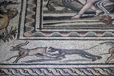 Gaziantep Zeugma Museum Aphrodite mosaic Aphrodite part in 2024 7901.jpg