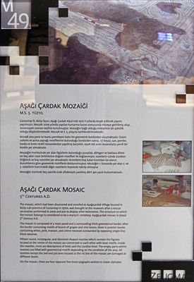 Gaziantep Zeugma Museum Aşağı ardak mosaic in 2024 7924.jpg