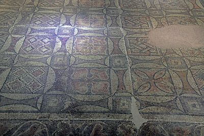 Gaziantep Zeugma Museum Çerçili mosaic in 2024 7872.jpg