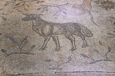 Gaziantep Zeugma Mosaic Museum Koçlu mosaic in 2024 7962.jpg