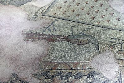 Gaziantep Zeugma museum Menderes mosaic in 2024 7979.jpg