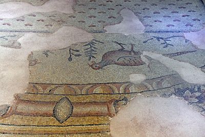 Gaziantep Zeugma museum Menderes mosaic in 2024 7980.jpg