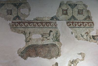 Gaziantep Zeugma Mosaic Museum Sğtl Mosaic in 2024 7941.jpg
