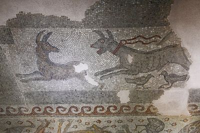 Gaziantep Zeugma museum Sulumağara mosaic in 2024 7948.jpg