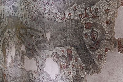 Gaziantep Zeugma museum Sulumağara mosaic in 2024 7953.jpg