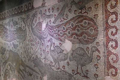 Gaziantep Zeugma museum Sulumağara mosaic in 2024 7954.jpg
