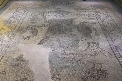 Gaziantep Zeugma Museum Man with peacock mosaic in 2024 7944.jpg