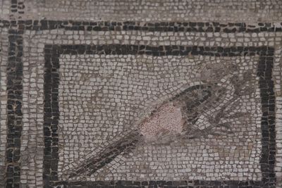 Gaziantep Zeugma Museum Eros mosaic in 2024 7881.jpg
