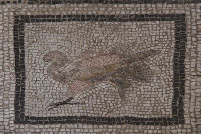 Gaziantep Zeugma Museum Eros mosaic in 2024 7882.jpg