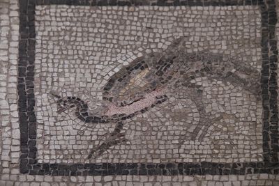 Gaziantep Zeugma Museum Eros mosaic in 2024 7885.jpg