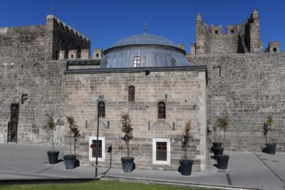 Kale Cami