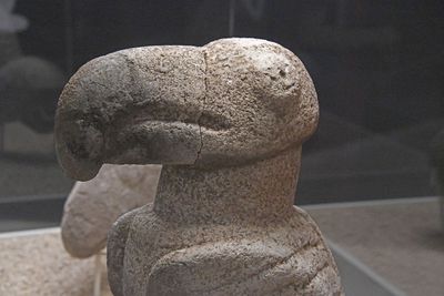 Urfa museum Karahantepe Statue of Vulture Neolithic age in 2025 9254.jpg