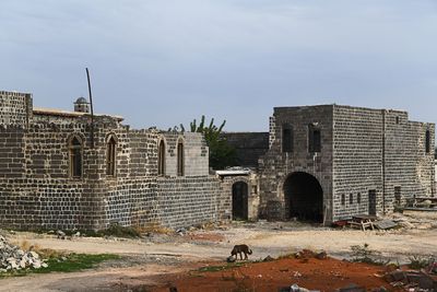 Diyarbakır Ruined building areas in Sur in 2025 9163.jpg