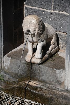 Lion's fountain