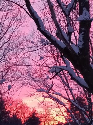 A bright and beautiful sky this morning