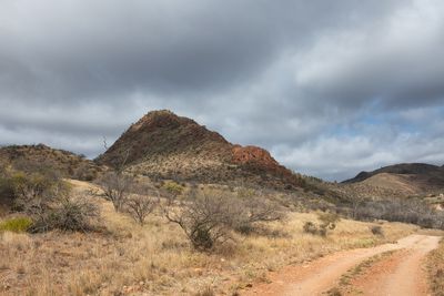 Flinders