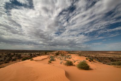 _DSC7607.jpg