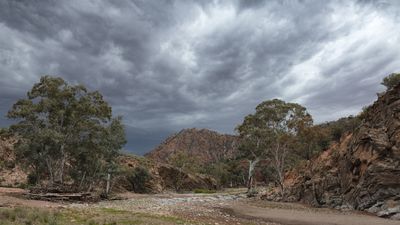 Flinders