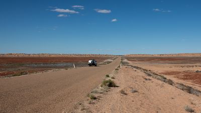 _DSC7537.jpg